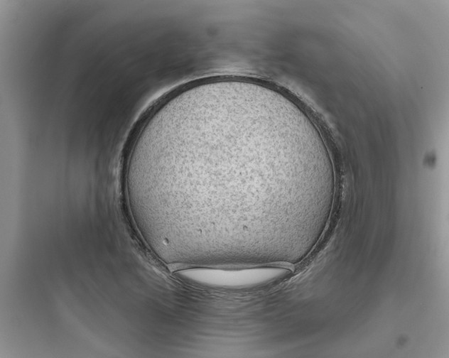 X0000097651222200803211848