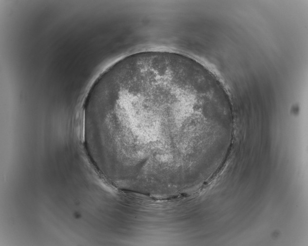 X0000097651223200803211848