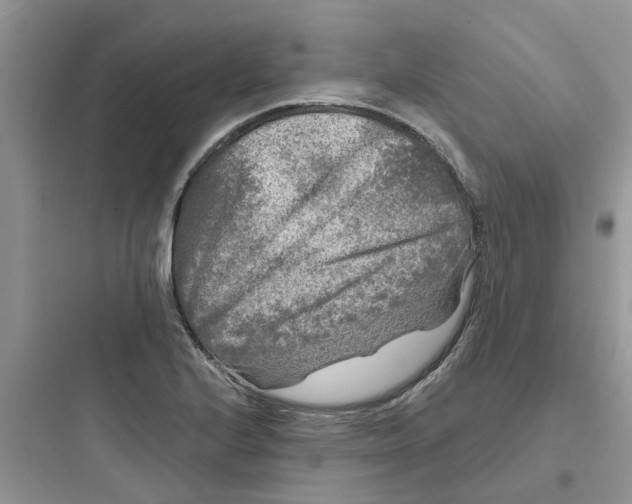 X0000097651224200803211848