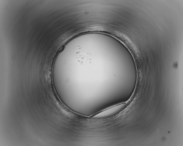 X0000097651225200803211848