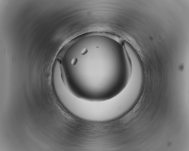 X0000097651226200803211848