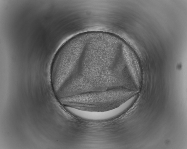 X0000097651230200803211848