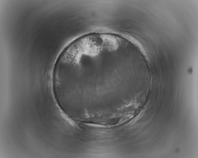 X0000097651231200803211848