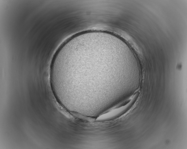 X0000097651232200803211848