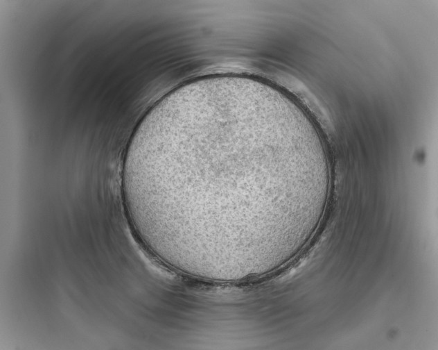 X0000097651233200803211848