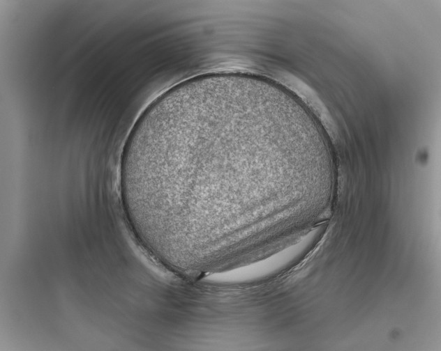 X0000097651234200803211848