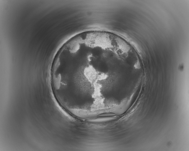 X0000097651239200803211848