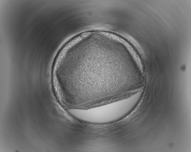 X0000097651240200803211848