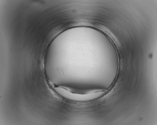 X0000097651241200803211848