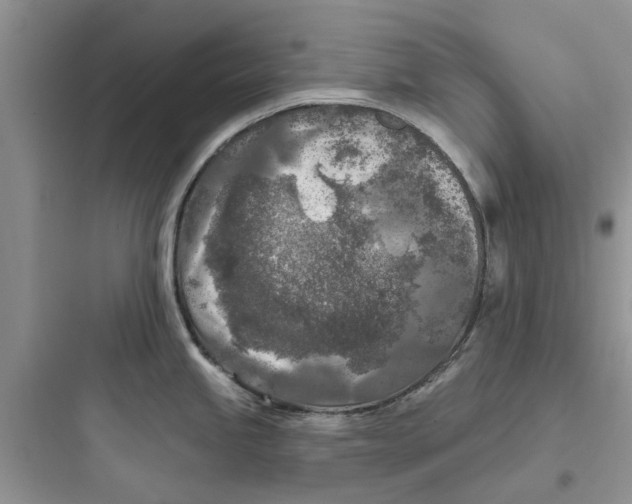 X0000097651245200803211848