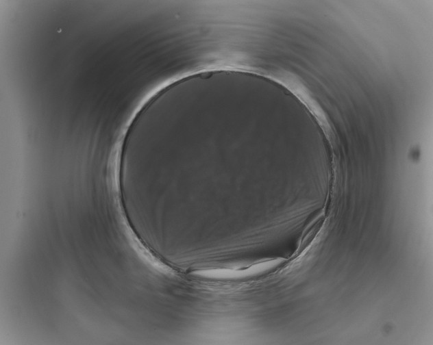 X0000097651246200803211848