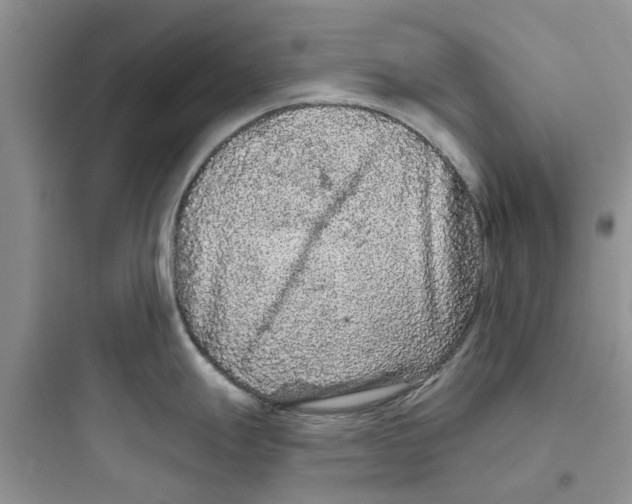 X0000097651247200803211848