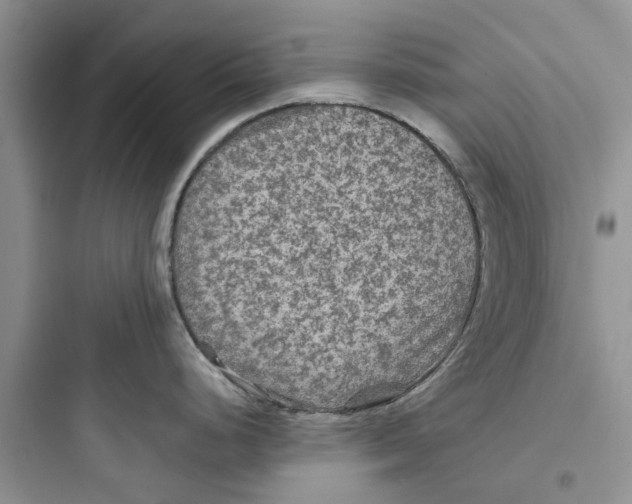 X0000097651248200803211848