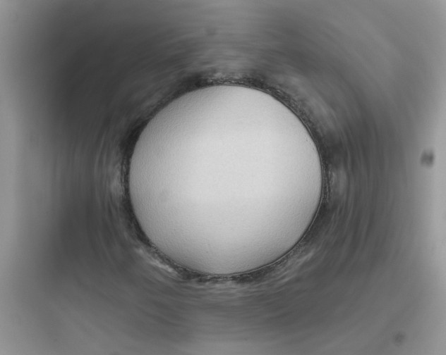 X0000097651250200803211847