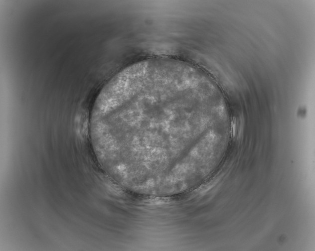 X0000097651251200803211847