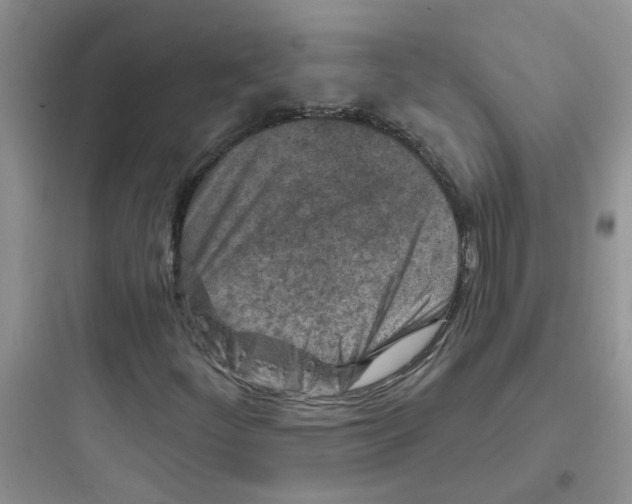 X0000097651252200803211847