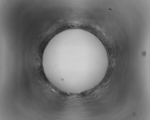 X0000097651253200803211847