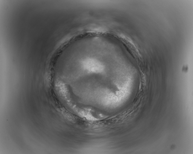 X0000097651254200803211847