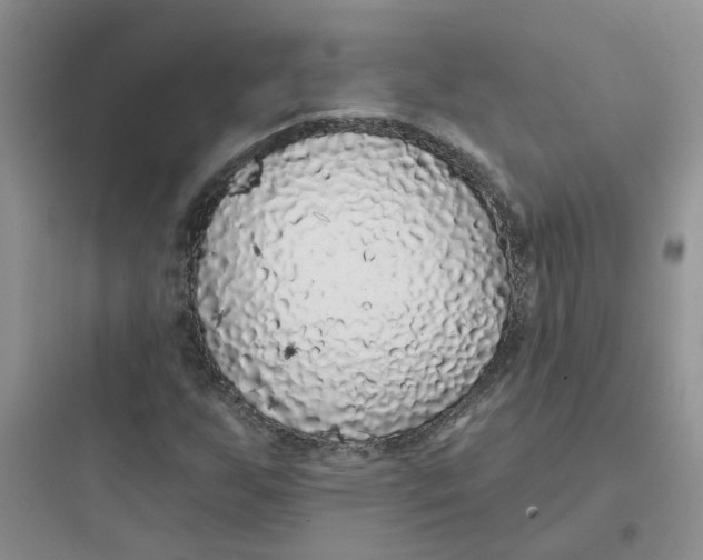 X0000097651255200803211847