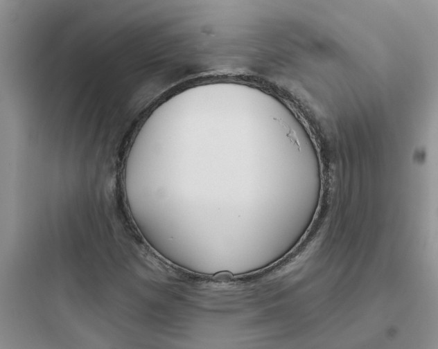 X0000097651257200803211847