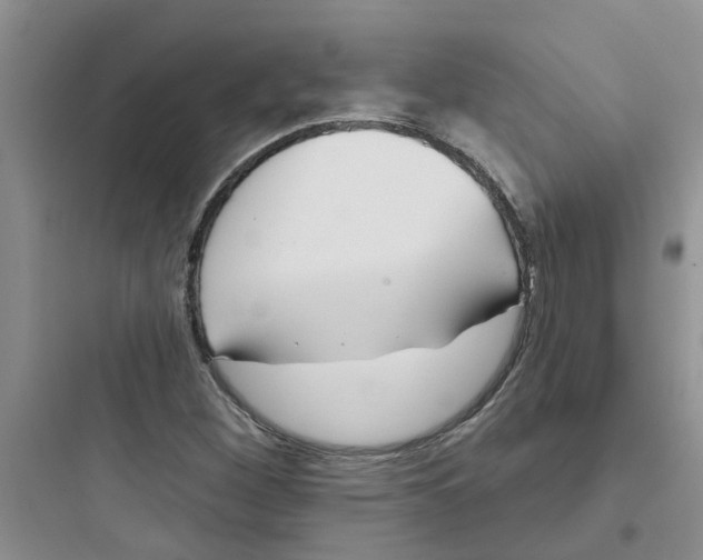 X0000097651260200803211847