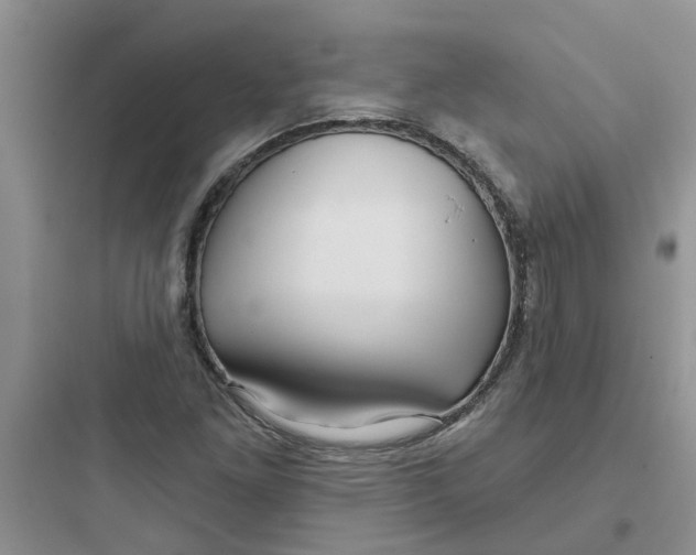 X0000097651261200803211847