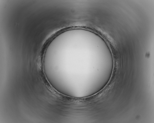 X0000097651262200803211847