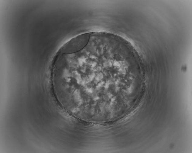 X0000097651263200803211847