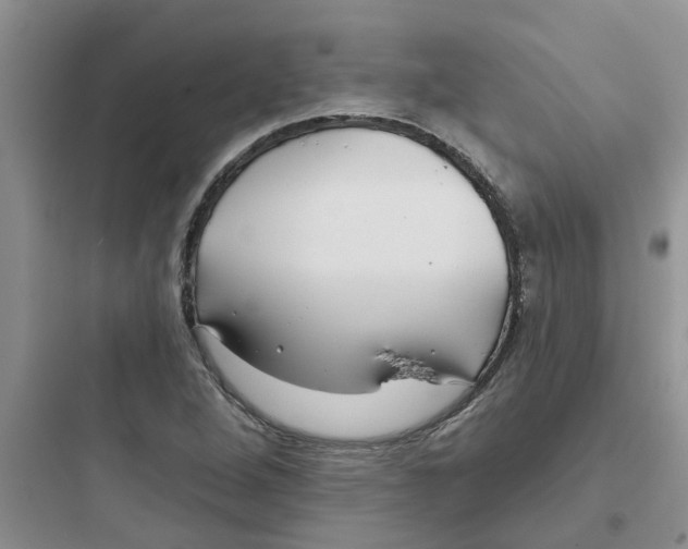 X0000097651264200803211847