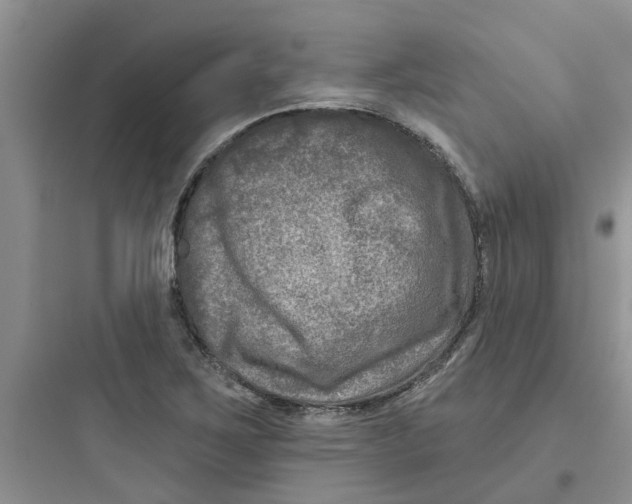 X0000097651267200803211847