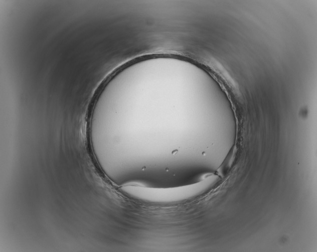 X0000097651268200803211847