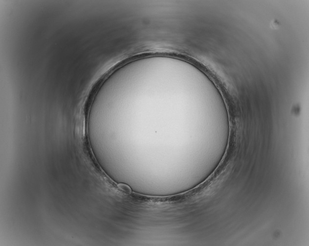 X0000097651269200803211847