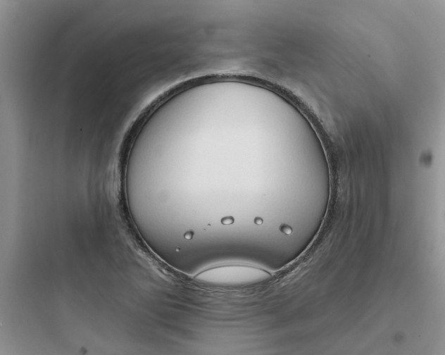 X0000097651270200803211847