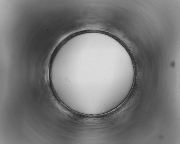 X0000097651272200803211847