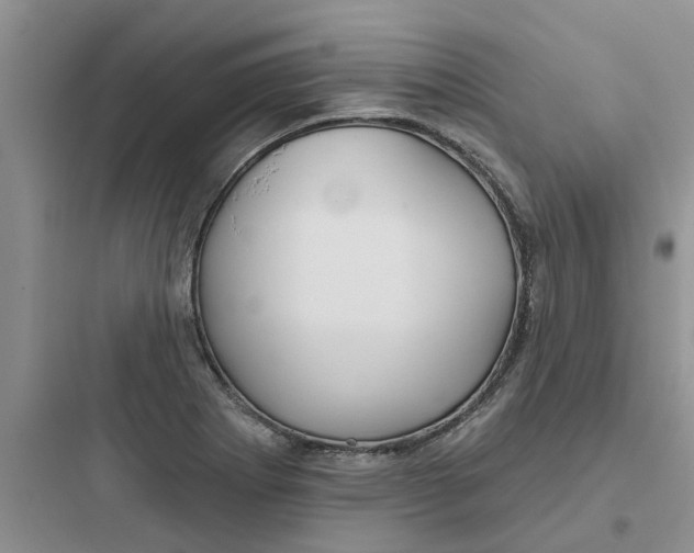 X0000097651273200803211847