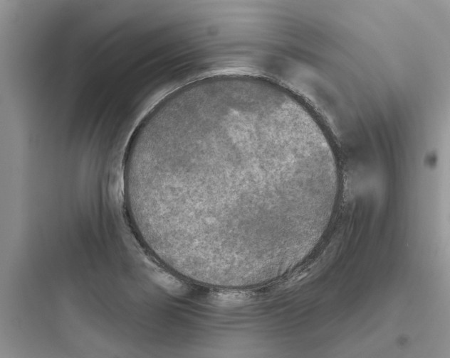 X0000097651274200803211847