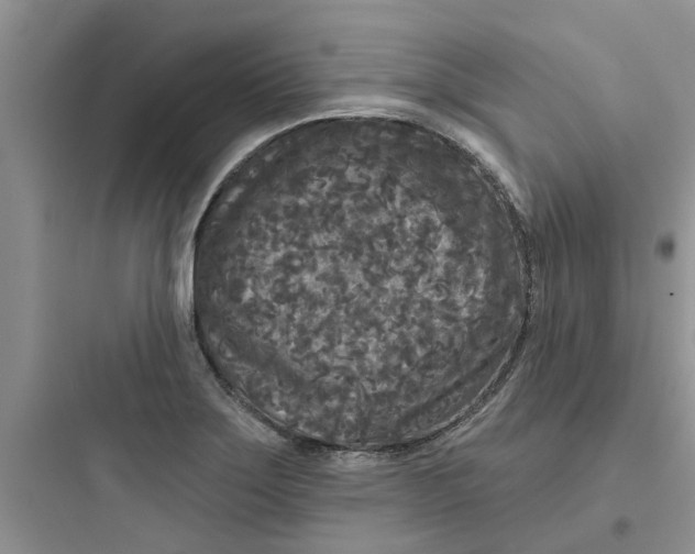 X0000097651275200803211847