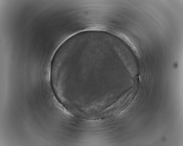 X0000097651276200803211847