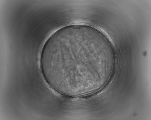 X0000097651277200803211847