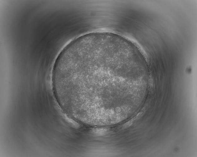 X0000097651278200803211847