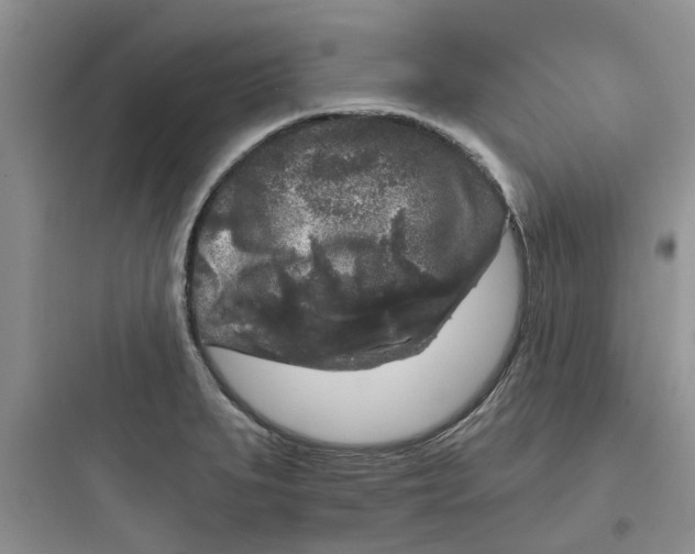 X0000097651279200803211847