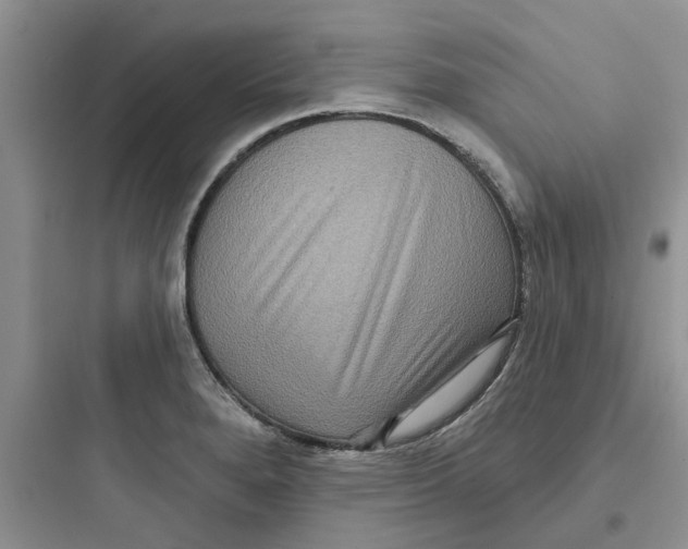 X0000097651280200803211847