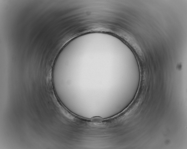 X0000097651281200803211847