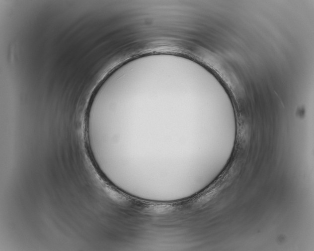 X0000097651282200803211847