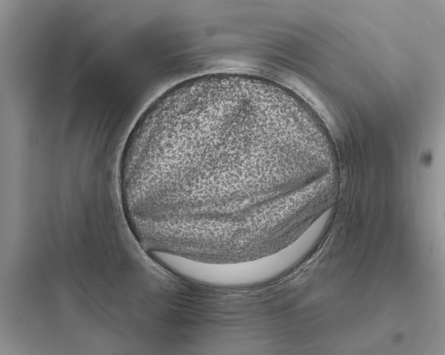 X0000097651283200803211847