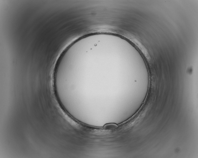 X0000097651285200803211847