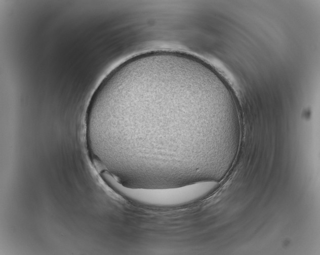 X0000097651287200803211847