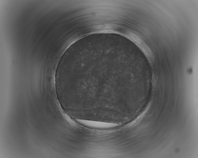 X0000097651289200803211847