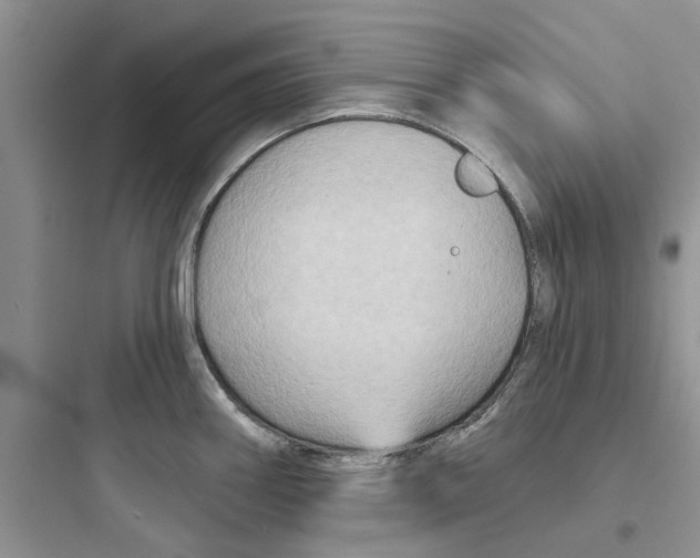 X0000097651290200803211847