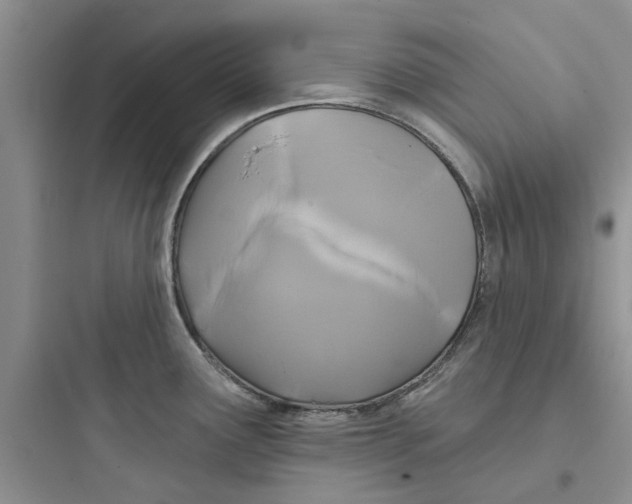 X0000097651291200803211847